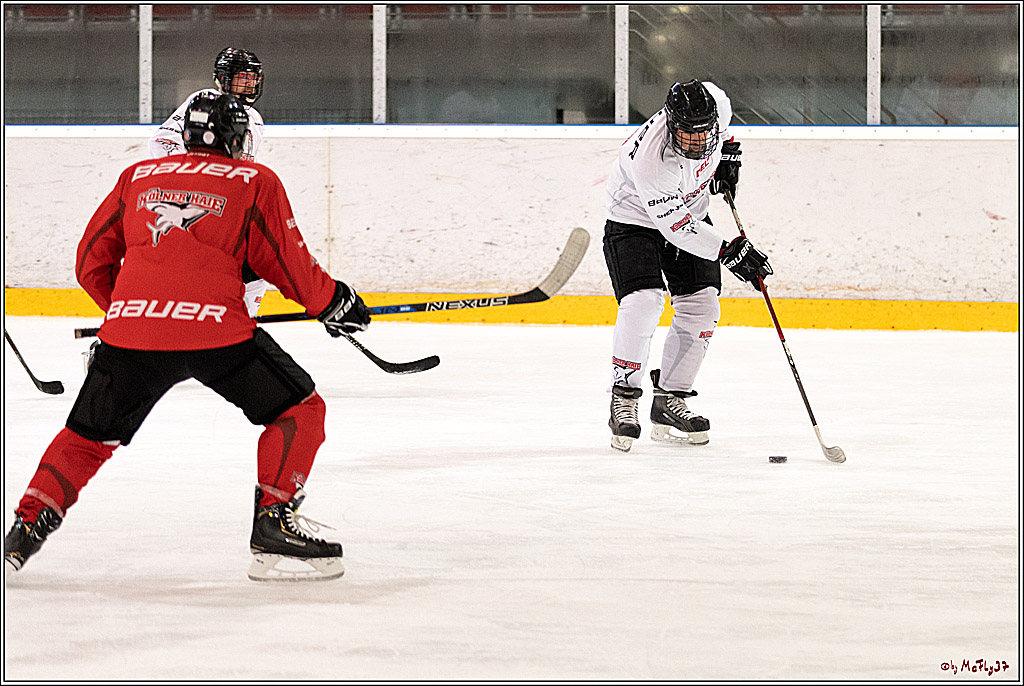 Sponsorentraining Kölner Haie 8.6.2022, 08.06.2022